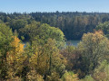 Boucle dans le Sud de la Forêt de Rougeau Boucle dans le Sud de la Forêt de Rougeau