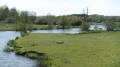 Boucle du courlis et du Canal du Rhône au Rhin Boucle du courlis et du Canal du Rhône au Rhin